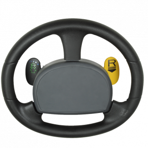 STEERING WHEEL WITH CONTROLS